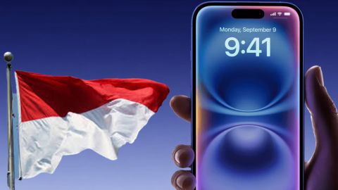endonezya apple