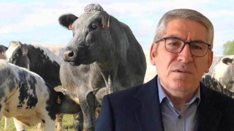 Yeni hayvancılık projesi açıklandı! Bu kişilere 30 adet hayvan verilecek... 270 bin TL destek sağlanacak
