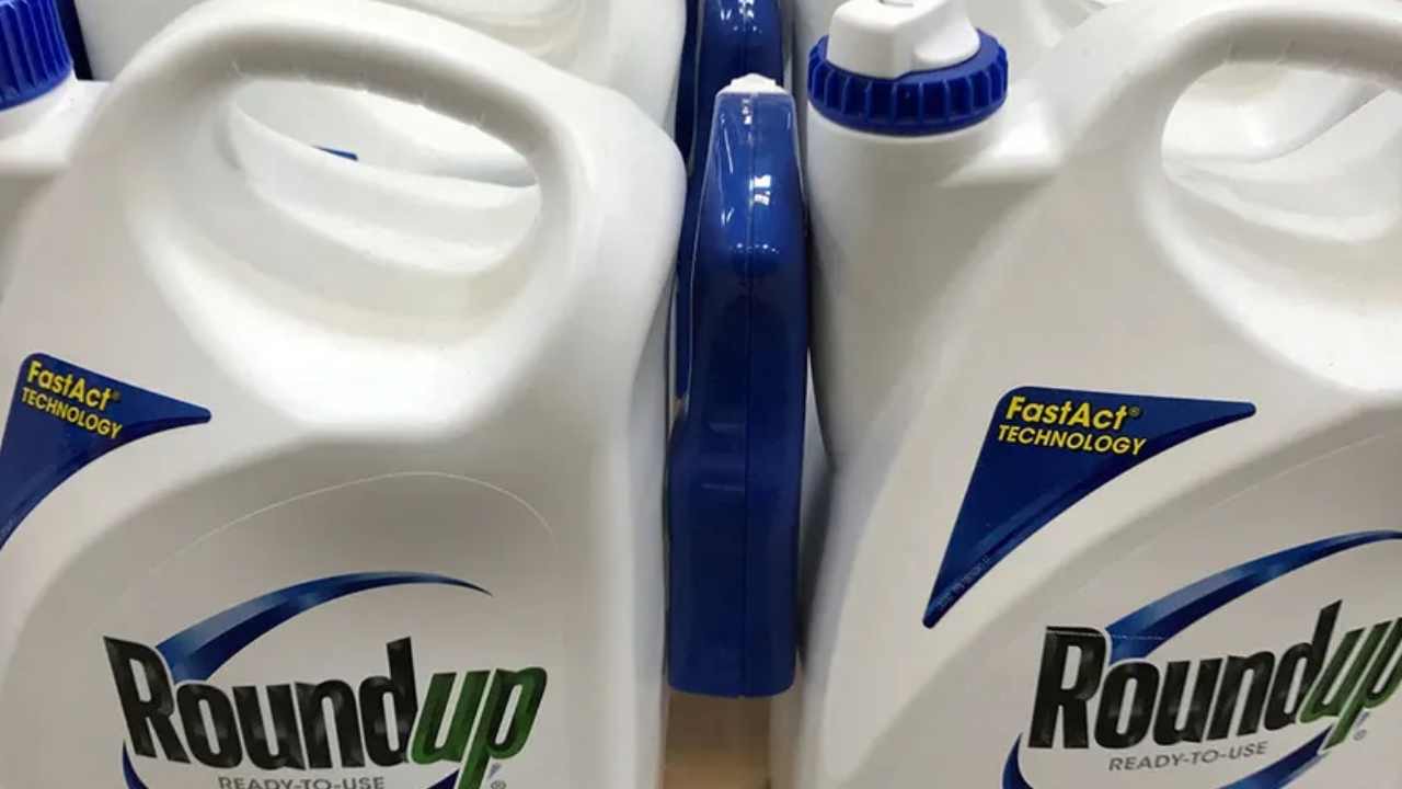 Bayer'e tarihinin en büyük cezası! Tarım ilacının kansere neden olduğu iddia edildi