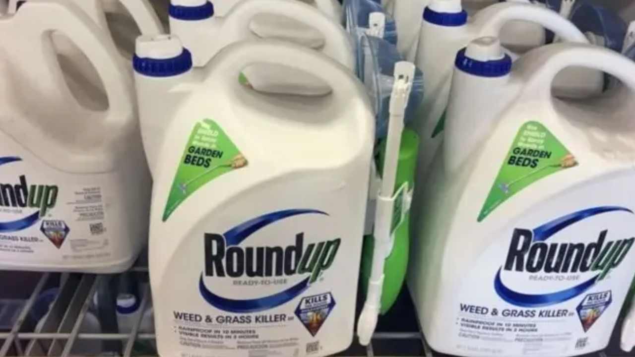 Bayer'e tarihinin en büyük cezası! Tarım ilacının kansere neden olduğu iddia edildi