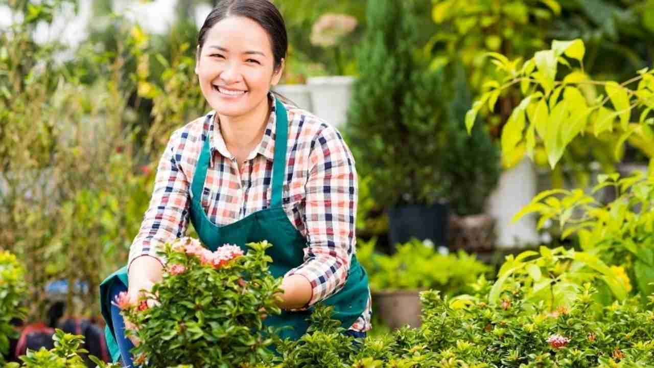 Kadın ve gençlere büyük proje desteği! Yüzde 50 hibe duyuruldu