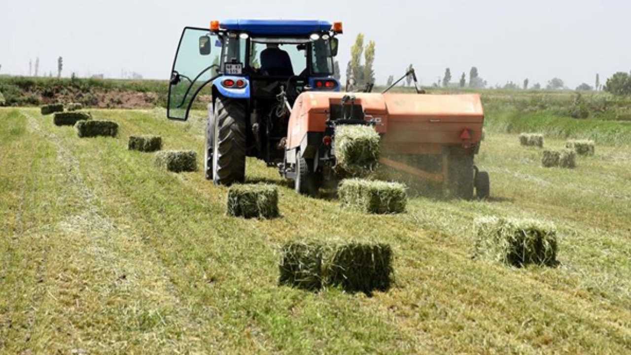 Üreticiye zirai don tazminatı! Hangi meyveye ne kadar ödeneceği belli oldu