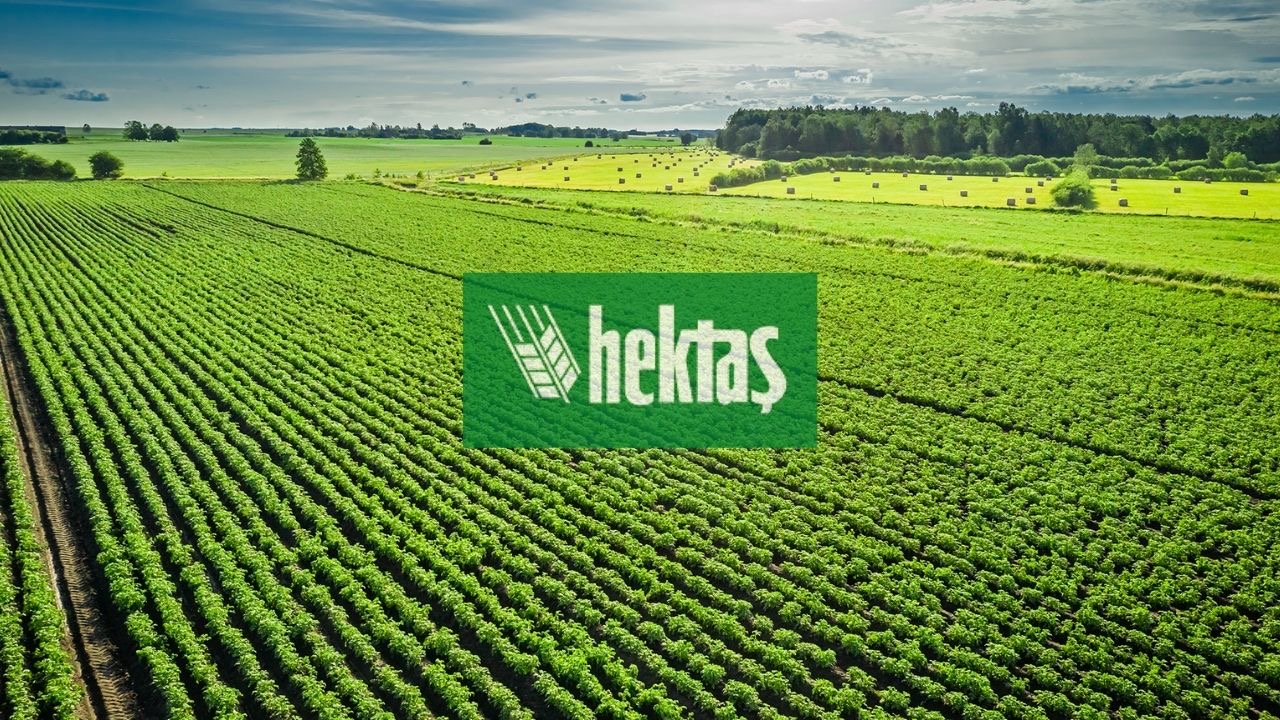 62 şirket temettü kararını açıkladı HABERLER, Gündemdekiler, Şirket Haberleri, Temettü Açıklayan Şirketler, TEMETTÜ HİSSELERİ Rota Borsa