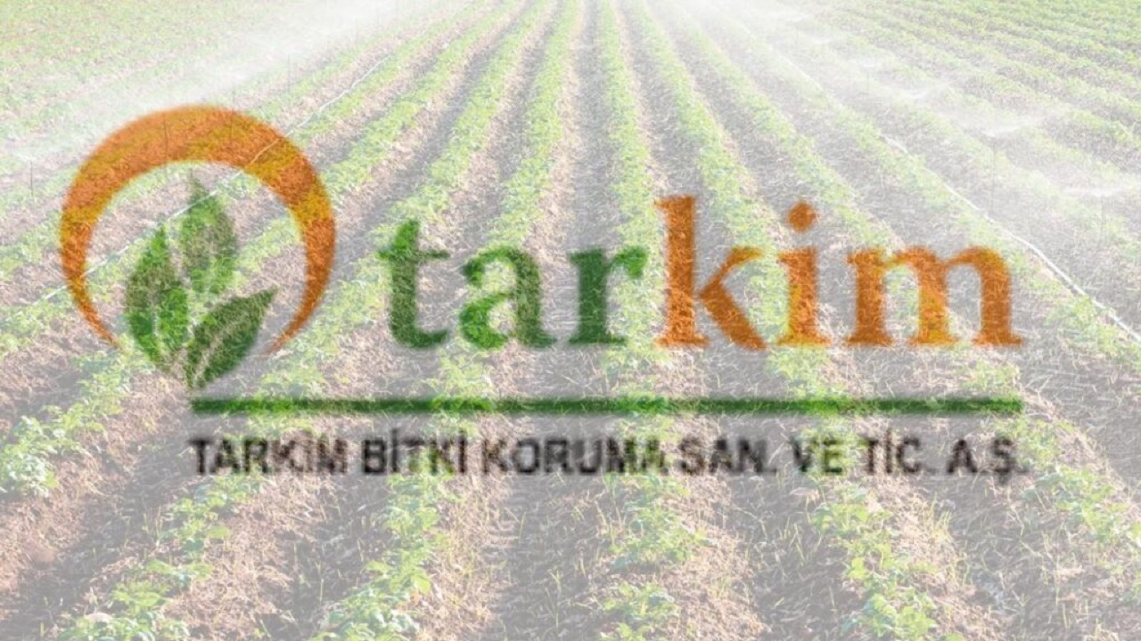 62 şirket temettü kararını açıkladı HABERLER, Gündemdekiler, Şirket Haberleri, Temettü Açıklayan Şirketler, TEMETTÜ HİSSELERİ Rota Borsa